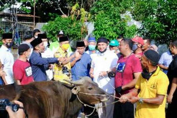 Serahkan Sapi Kurban ke PWI Riau, Ini Pesan Gubri